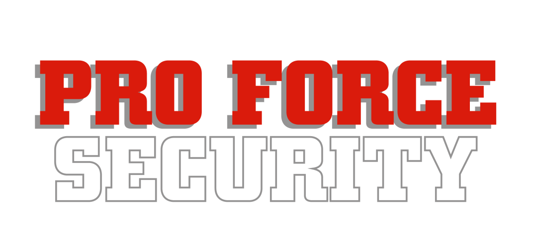 Pro Force Security logo