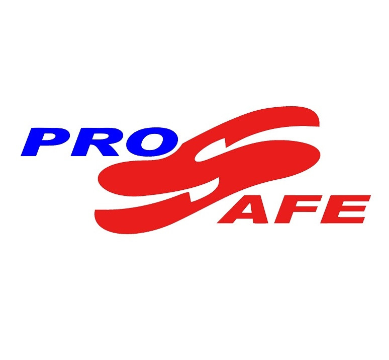 ProSafe Security logo