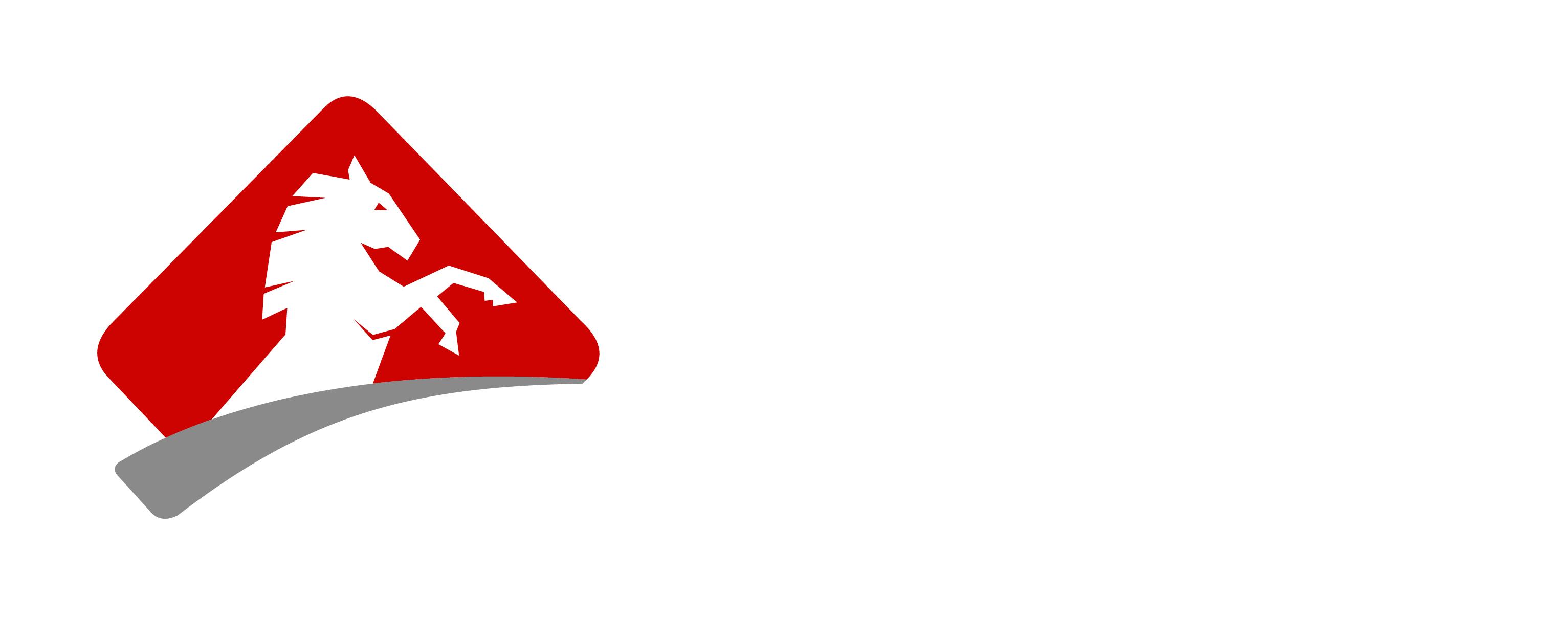 Stallion Security logo
