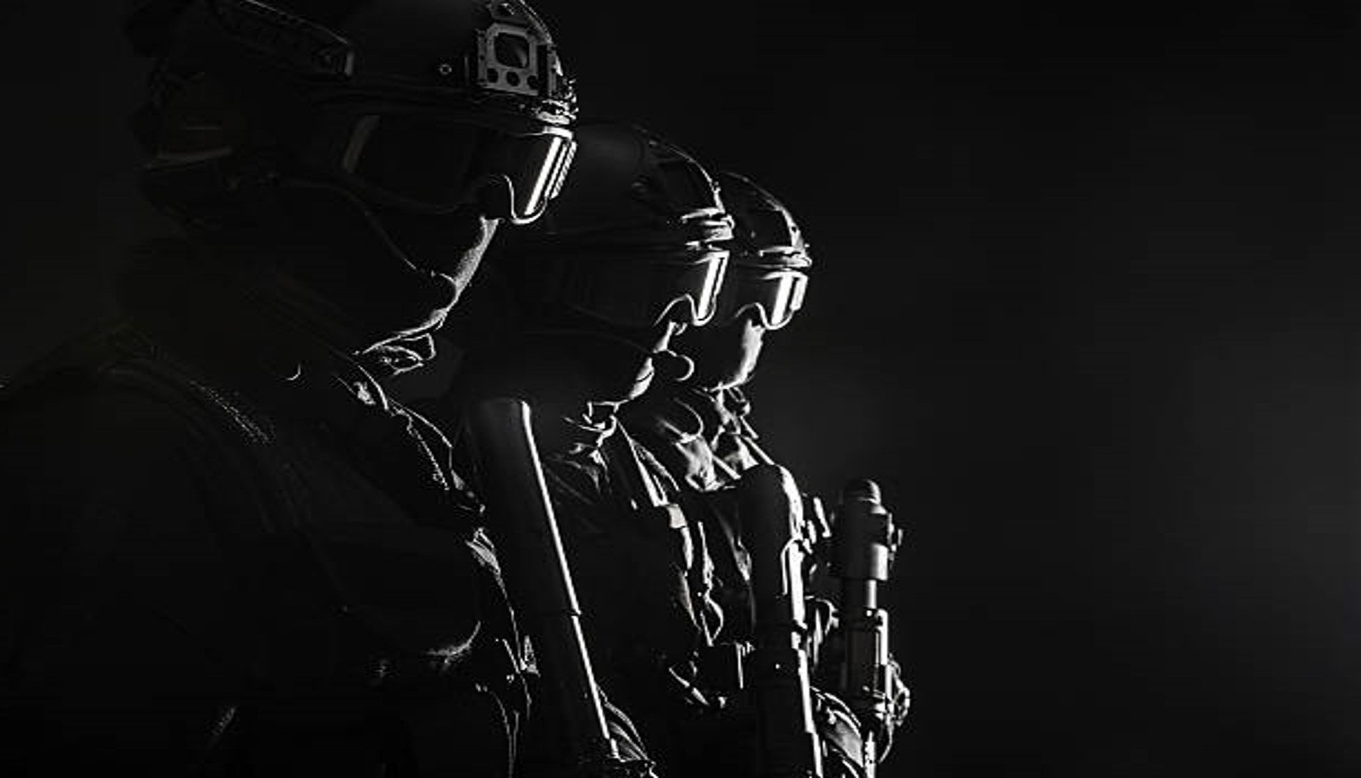VPS Security logo